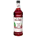 MONIN. JARABE DRAGON FRUIT. 1Lt