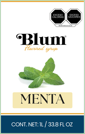 VERSEM. JARABE MENTA BLANCA. 1Lt