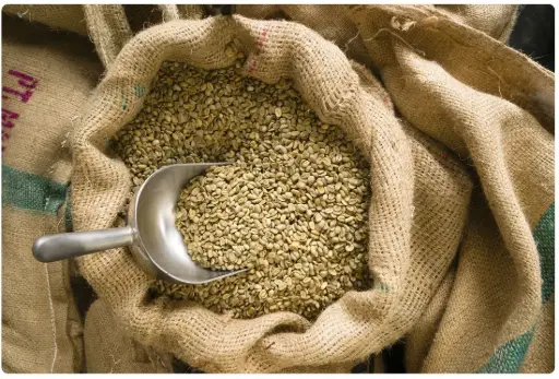 CAFE GRANO VERDE. VERACRUZ 2025. COSTAL 69 Kg.